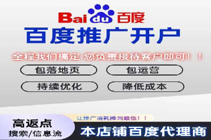 抖音信息流代理在电商行业的应用案例分析